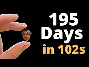 I Grew an OAK TREE from Seed for 195 and TIMELAPSED it!