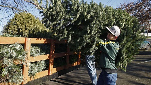 Where in and around Salem to take your Christmas tree for disposal and recycling