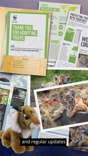 1.4K views | Love cats? Adopt a tiger, snow leopard or jaguar with WWF from £5 a month. Receive a cuddly toy, welcome pack and regular updates. | WWF UK | Facebook