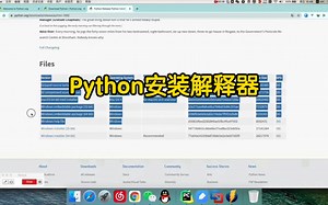 Python解释器安装？看这一篇就够了！