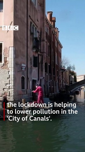 Venice's canal water looks a lot clearer since the city when into lockdown because of coronavirus. bbc.in/2UgeU7n | BBC News