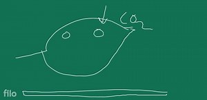 What are the differences between autotrophic nutrition and hete... | Filo