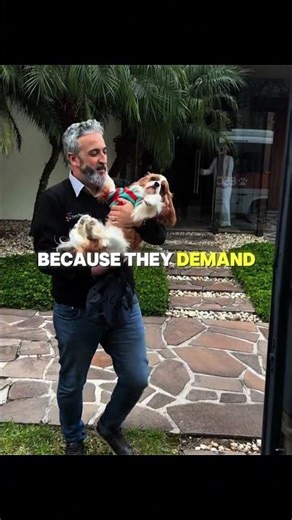 The Best School Bus In The World ❤️