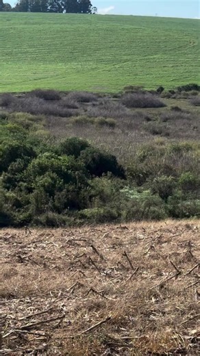 Javalinointeriordesp no TikTok