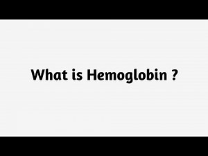 What is Hemoglobin?