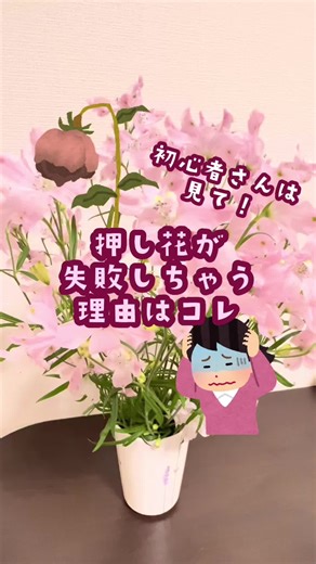 押し花の失敗理由とフラワーペーストの魅力