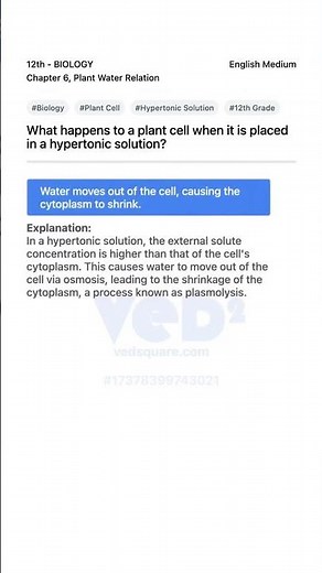 Plant Cell in Hypertonic Solution Explained 12th Biology