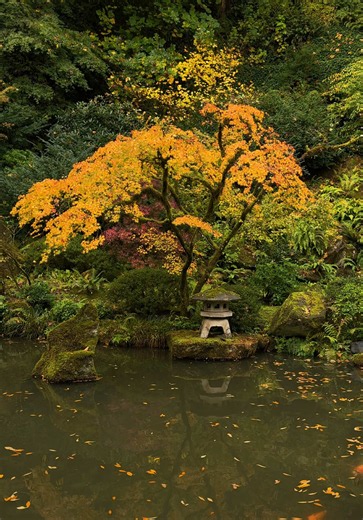 Portland Japanese Garden Bliss #portlandoregon #portlandjapanesegarden #nature #calming #japaneseaesthetic