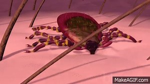 Lyme Disease Animation on Make a GIF