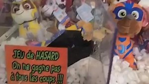 3.2K views · 35 reactions | Cseb on Reels | Facebook