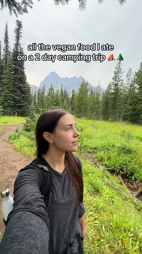 Here are some of the easy vegan meals we ate while camping last week ⛺️🌲✨ This time I decided to do a lot of prep in advance so I could spend more time enjoying nature (instead of chopping veggies with a dull knife at a picnic table…IYKYK) We ate the same thing for breakfast and lunch both days to keep things easy and I also did all of the chopping, seasoning, and rice cooking ahead of time. ☕️ Breakfast: cold brew coffee protein bar 🥗Lunch: pasta salad with chickpeas, roasted veg, fresh tomat