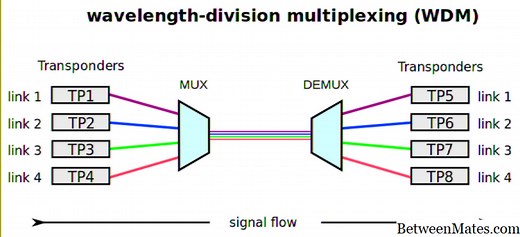FDM和TDM - 技术 2025