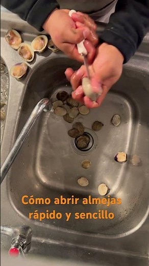 How to open clams quickly and easily#2025 new jersey