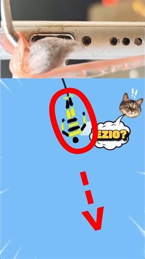 Gravity Had Other Plans 💀