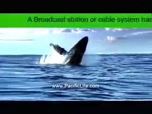 PBS Program Break KQED 2007