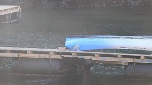 23K views · 1K reactions | Taiji: The False Killer Whale at the Taiji Whale Museum displayed this repetitive behavior for several minutes yesterday. This is NOT behavior you’d see in the wild. The captive industry fuels the drive hunts that occur here due to the high profits that it generates. Please do NOT support the captivity industry. 1-14-18 4:43pm #dolphinproject Pledge NOT to buy a ticket to a dolphin show: dolphin.fyi/DolphinPledge | Dolphin Project | Facebook