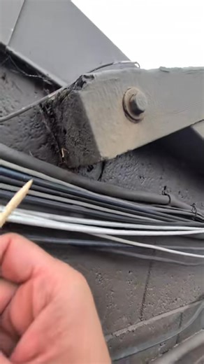 Replying to Stairway to repair Remove and replace, or torch Termite damage of the Drywood Species, how I find their galleries. Little Fungus Damage. ALL Flagged! #asmr #damaged-001 | Lueilwitz