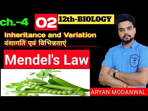 Class 12 Maths | Chapter 5.5: Continuity & Differentiability – Explained Clearly!"