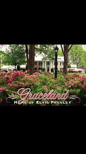 68K views · 4K reactions | Spring Fever at Graceland Always Beautiful no matter the season | Kathy Sparks Cox | Facebook