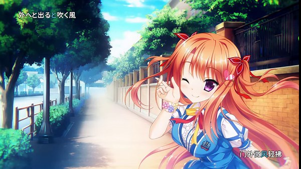 Steam 发行商：株式会社HIKARI FIELD