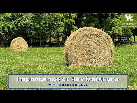 Importance of Hay Moisture