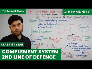 Complement System 2nd line of defence. Biology 1st year in Urdu/Hindi l Ch: Immunity