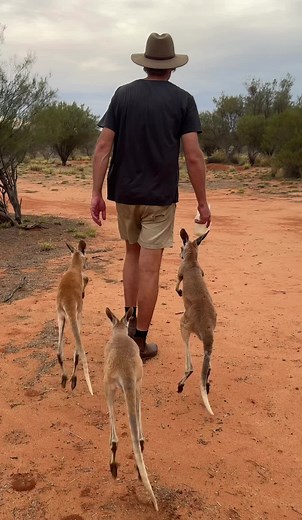 Beyonce, Disco Dave & Tiny Tim Fun Dance Compilation