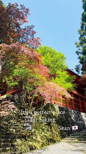 10K views · 146 reactions | 1 Day Hiking in Mt. Hiei, Kyoto, Japan....