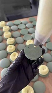 1K views | French macarons ✨ Recipe available for purchase on my website lugurkova.com | Liudmila Gurkova | Facebook