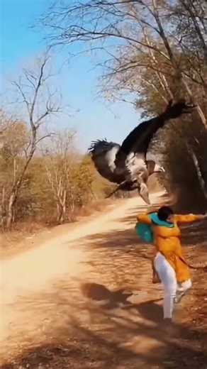 Amazing work 😲😲 #workfromanywhere #workfromhome #workoutmotivation #work #workout #worklife #working