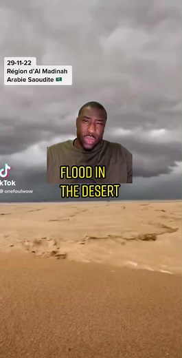 The Bully Slayer on TikTok