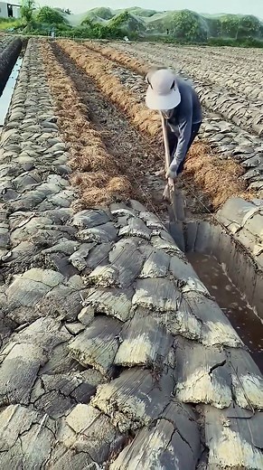 72K views · 396 reactions | Great idia of working... #germany #usa #seo #uk #newyork #dallas #italy #france #shorts #america #canada #toronto #unitedstates #losangeles #engineering #london #adamrose #miami #california #australia #japan #korea #youtube#russia #india#comedy#uzbekistan #pakistan#snow | Engineer VIP | Facebook