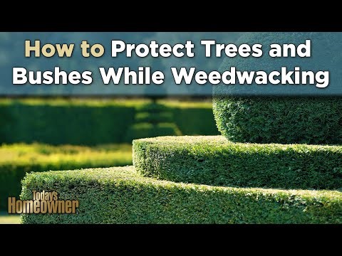 Use This Yard Hack to Protect Trees and Bushes While Weedwacking