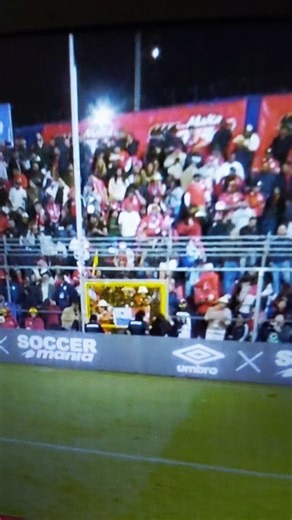 Panama Live on Reels