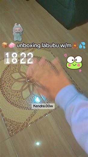 Unboxing the Secret Labubu: A Fun Mini Vlog