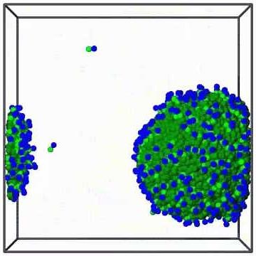 DPD simulation of coarsening dynamics of oil-surfactant-water mixtures (excess oil)