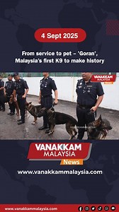 From service to pet – 'Goran', Malaysia’s first K9 to make history #latest #vanakkammalaysia #From #service #pet #Goran #Malaysia #first #K9 #make #history #trendingnewsmalaysia​ #malaysiatamilnews​ #fyp​ #vmnews​ #foryoupage | Vanakkam Malaysia