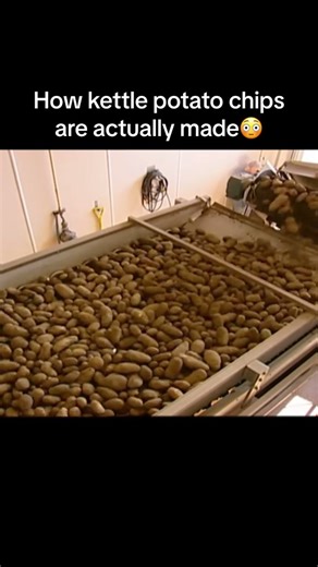 How kettle potato chips are actually made | carzy facts