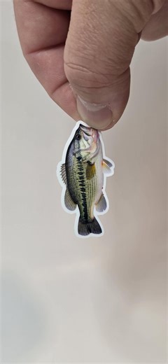 Realistic Largemouth Bass Sticker 2-pack | Angler Tackle Box Decal - Etsy