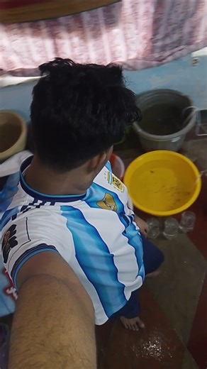 DAY28🤩betta breeding update😉❤️‍🔥#aquaticpets #pets#bettabreedingupdate