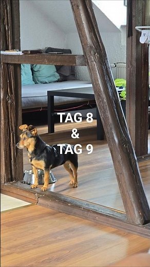 Tag 8 & 9 mit Maja ❤️ Gerade als ich dachte, sie vertraut mir…