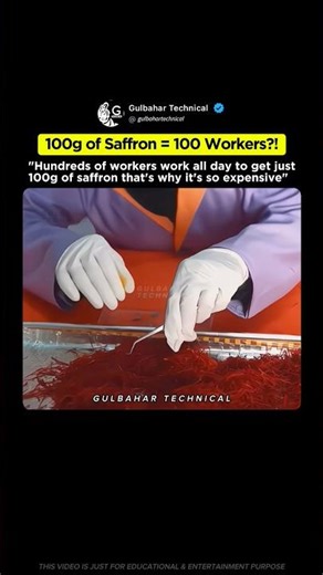 Why Saffron Costs More Than Gold 😱🌸