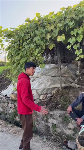 Funny Moments on 4 Wheelers