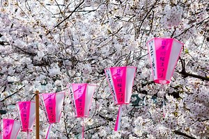 The 3 Japanese Verb Groups