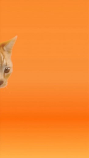 IAMS™ Healthy Senior cat food helps keep them agile. With essential nutrients including calcium for healthy joints. | IAMS