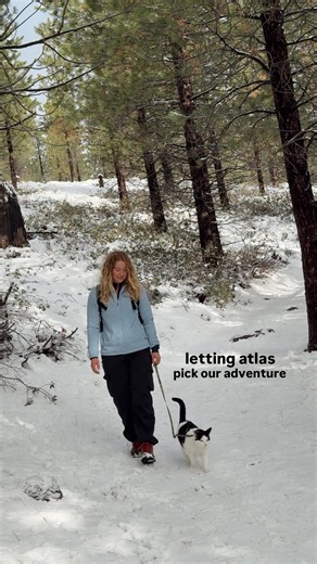 14K views · 354 reactions | Hiking to waterfall w/ my cat There’s...