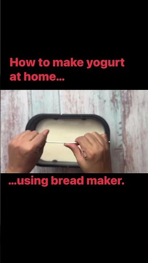 How to make yogurt at home using a bread maker #homemadeyogurt