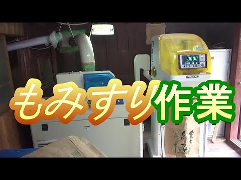 もみすり作業（うすひき）籾摺り