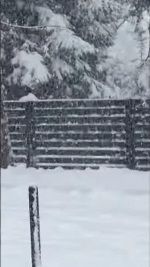 Atak zimy! Ten weekend przyniesie potężne śnieżyce w Polsce