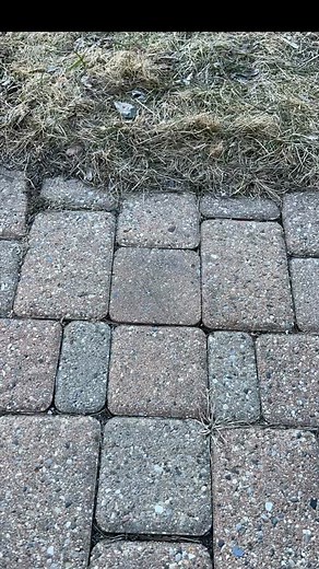 Time-lapse of Sluggo's 3D hole illusion, one of many tricks you can learn from my Chalk Art Handbook (store link in bio: zinnart.com) #chalkart #3dsidewalkartopticalillusion